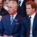 O príncipe Harry revela uma coisa que ele foi proibido de fazer como uma família real e trabalhadora - Royal