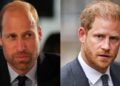 O príncipe William destrói o sonho de Harry de Reunião Real: 'Imperdoável'