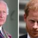 O rei Charles instou a obter 'conselho espiritual' para consertar o Rift com o príncipe Harry | Real | Notícias
