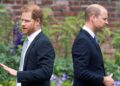 Príncipe Harry, ex -assessor do Prince William do Palácio dá uma entrevista rara sobre a brecha real 'Sad' entre irmãos