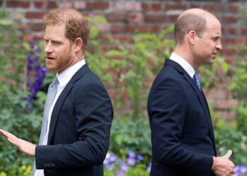 Príncipe Harry, ex -assessor do Prince William do Palácio dá uma entrevista rara sobre a brecha real 'Sad' entre irmãos