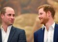 Príncipe William, a tão esperada reunião de Harry: os principais detalhes revelados
