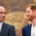 Príncipe William, a tão esperada reunião de Harry: os principais detalhes revelados