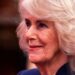 Queen Camilla Delight enquanto enche o Palácio de Buckingham com estrelas - incluindo o amigo de Harry | Real | Notícias