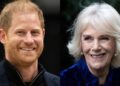 Queen Camilla envia mensagem para o príncipe Harry da festa do Palácio de Buckingham