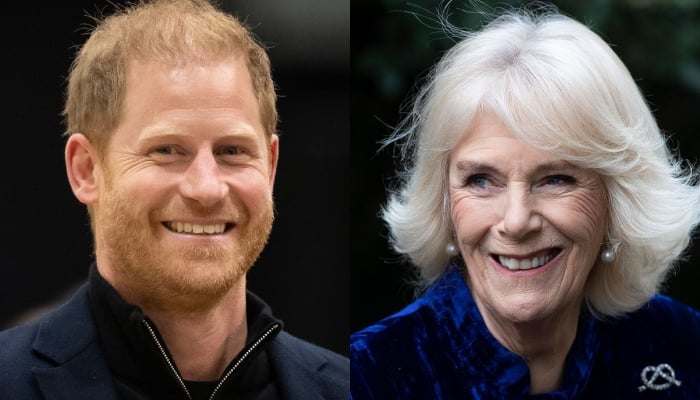 Queen Camilla envia mensagem para o príncipe Harry da festa do Palácio de Buckingham