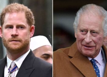 Reunião de Harry com o rei Charles em dúvida após um desprezo sutil | Real | Notícias