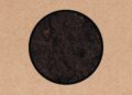 Swans anunciam o novo álbum 'Birthing' com single de 19 minutos 'i am a uma torre'