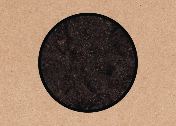 Swans anunciam o novo álbum 'Birthing' com single de 19 minutos 'i am a uma torre'