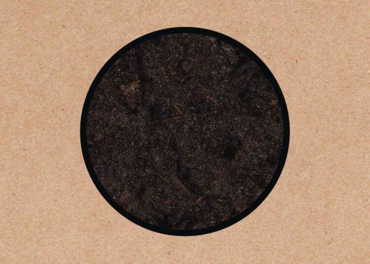 Swans anunciam um novo álbum, revela "eu sou uma torre"