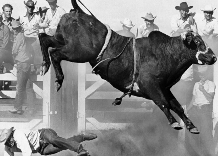 Teton Ridge Entertainment adquire script de especificação 'Riding Hurt'