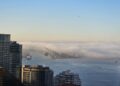 West Seattle Blog… | Cookies de escoteiros, música, novos negócios, poesia, muito mais para o seu West Seattle na sexta -feira!