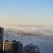 West Seattle Blog… | Cookies de escoteiros, música, novos negócios, poesia, muito mais para o seu West Seattle na sexta -feira!