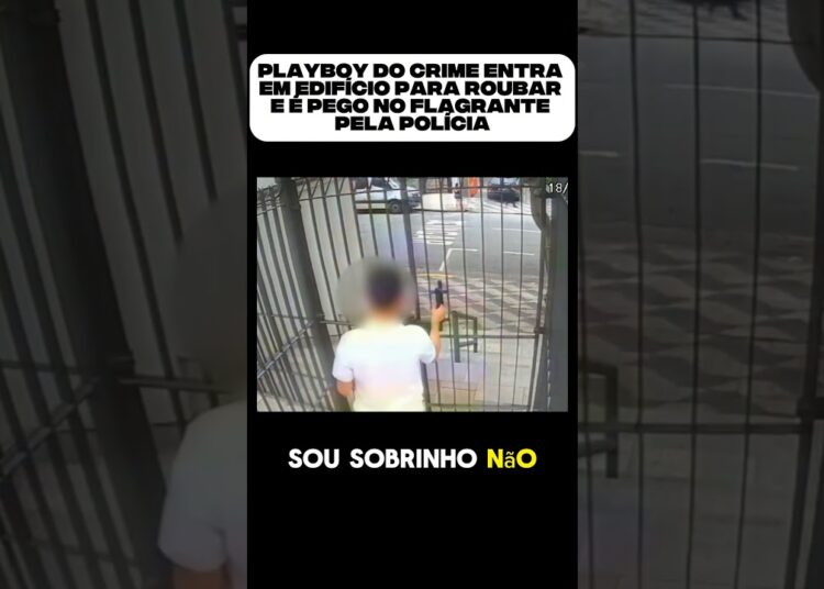 #entreterimento #bbb #fofocas #realityshow #viraliza #famosos playboy do crime