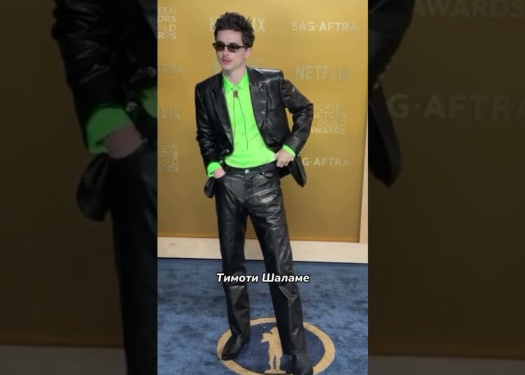 Образы звёзд на SAG Awards 2025 👠 #shorts