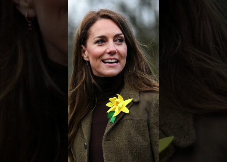 Kate x Meghan: A Guerra das Geleias Está de Volta!   #shortsfeed  #shorts    #shortsyoutube