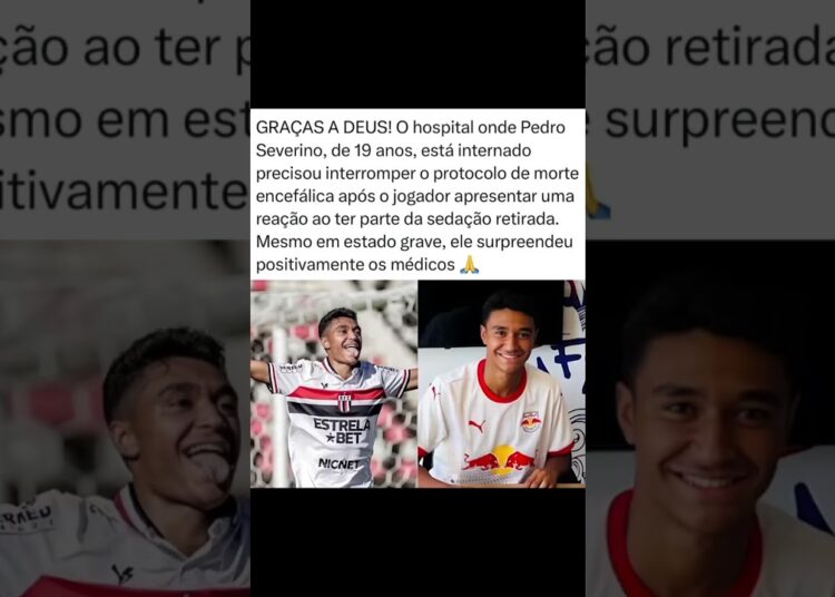 #noticias #babado #fofoca #ultimasnoticia #fofocas #triste #pedroseverino #babados
