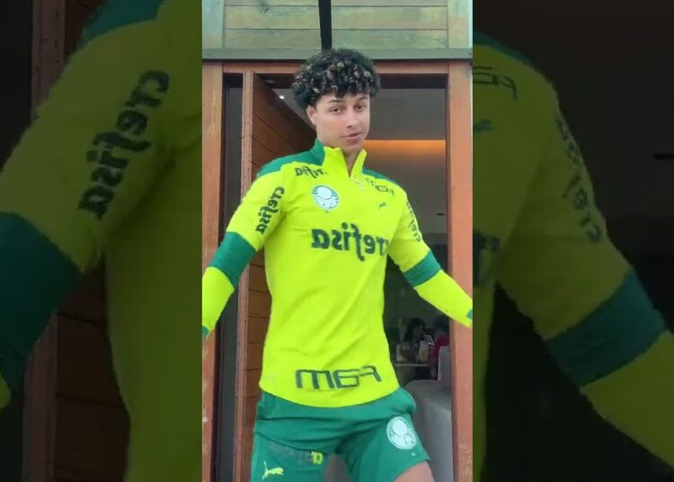 RAFAEL BRASIL DANÇANDO – | TIK TOK DOS FAMOSOS