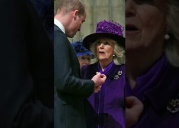 William desafia Camilla e deixa lealdade a Diana clara! #shortsfeed #shortsyoutube