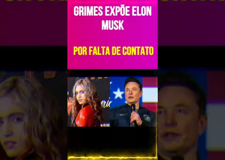 Grimes expõe Elon Musk por falta de contato