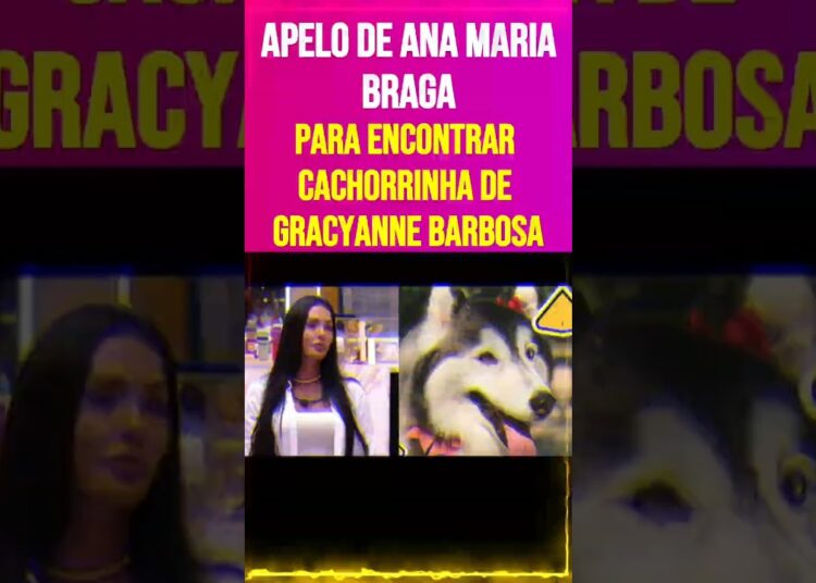 Apelo de Ana Maria Braga para Encontrar Cachorrinha de Gracyanne Barbosa