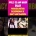Apelo de Ana Maria Braga para Encontrar Cachorrinha de Gracyanne Barbosa