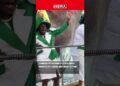 Dona Neli Arrasa no Samba: Energia de Sobra na Sapucaí!  | Meia Hora Notícias