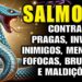 DESCUBRA O PODER DO SALMO 16: CONTRA MAGIA, INIMIGOS, INVEJA, FOFOCAS e FALSIDADES – Prosperidade