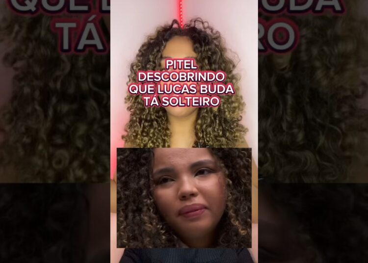 PITEL DESCOBRE QUE LUCAS BUDA TÁ SOLTEIRO😳 #shorts #entretenimentos #fofocas #curiosidades #noticia