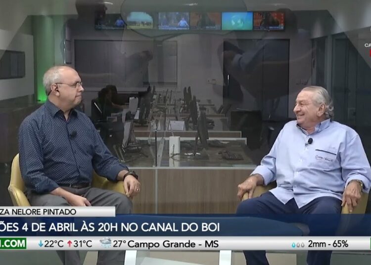 Realeza do Nelore Pintado realiza dois grandes leilões em abril no Canal do Boi