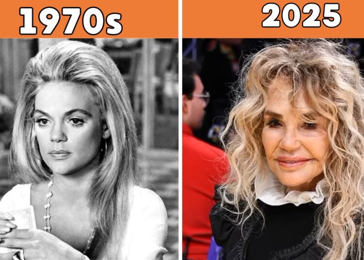 65+ Beautiful Blonde Actresses from the 1970s to the 1990s: Then and Now!