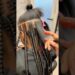 #cortes  #fyyyyyyyyyyyy #historias   #funny #explorepage #fofoca #fofocas  #irmão  #Cabelo ￼￼￼