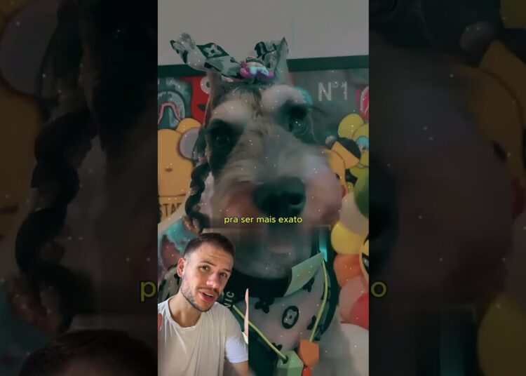 Esse pet recebe um tratamento digno de uma realeza