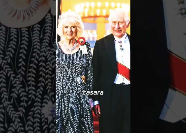 LE TIENE MIEDO LA PRINCESA ANA ELLA TIENE SUFICIENTE PODER SOBRE REY CARLOS