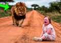 Pai Abandona Filha Autista na Savana, e o Gestro Inesperado de um Leão Deixou Todos em Lágrimas