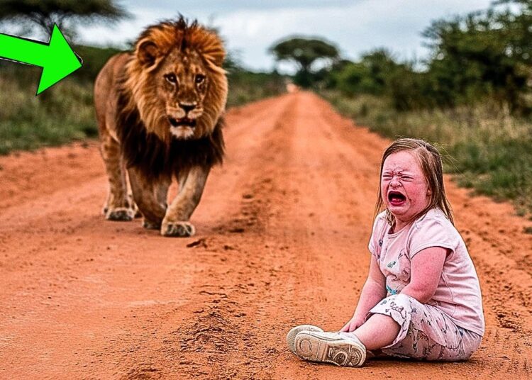 Pai Abandona Filha Autista na Savana, e o Gestro Inesperado de um Leão Deixou Todos em Lágrimas