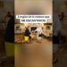 3 reglas de la realeza que ME ENCANTARON