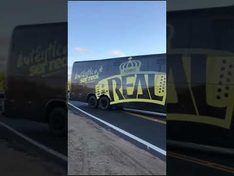 👑🎵Ônibus da Realeza🎵👑