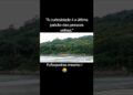 FOFOCA ALHEIA      #motivational #fofocas #viralshort #memes #humormemes