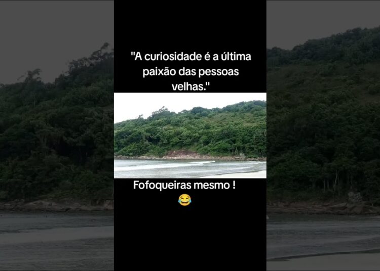 FOFOCA ALHEIA      #motivational #fofocas #viralshort #memes #humormemes