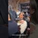 Rihanna quer voltar para África!# #curiosidades #curiosidadesmundiais #brazil