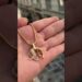 Sinta se da realeza com nossas jóias de ouro