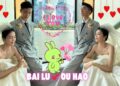 Bai Lu’s: The Wedding Dress That Made Fans Think It Was a Real Ceremony #BaiLu #OuHao