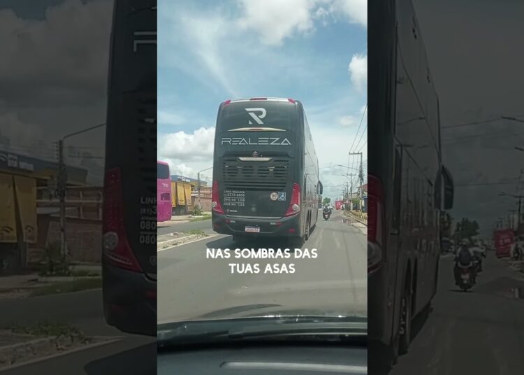 Realeza Marcopolo New G7 DD #motorista #onibus #viagem #turismo