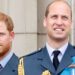 A "devastação" do príncipe Harry sobre o tratamento especial de William exposto por Royal Butler | Real | Notícias