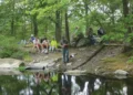 A primavera traz concertos "Secret Sounds of Ponds" | Música | Hudson Valley