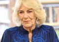 A rainha Camilla emitiu aviso antes da viagem crítica com o rei Charles | Real | Notícias