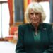 A rainha Camilla revela por que ela luta para ler na última confissão