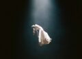 Ariana Grande anuncia 'Deluxe' Externo 'Deluxe' Antes da frente 'com 6 novas músicas