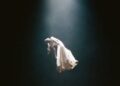 Ariana Grande provoca novas músicas com o novo trecho de 'Eternal Sunshine: Bleeor Days Antes' Deluxe [Listen]